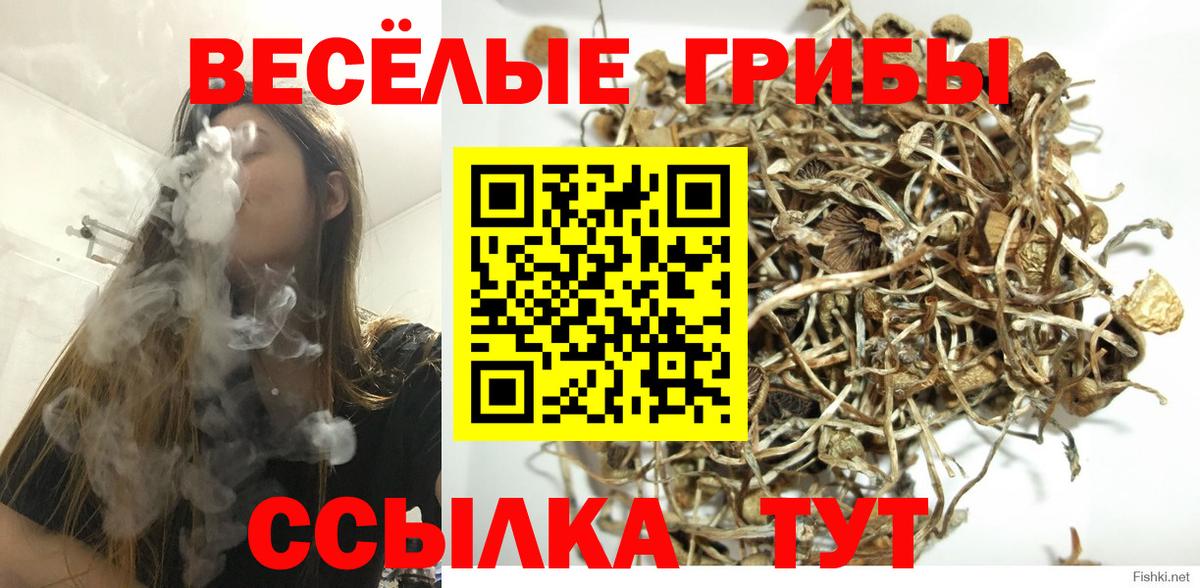 цены наркотик  Псилоцибиновые грибы Psilocybine cubensis  Менделеевск  Вход с VPN  Галлюциногенные грибы мицелий 