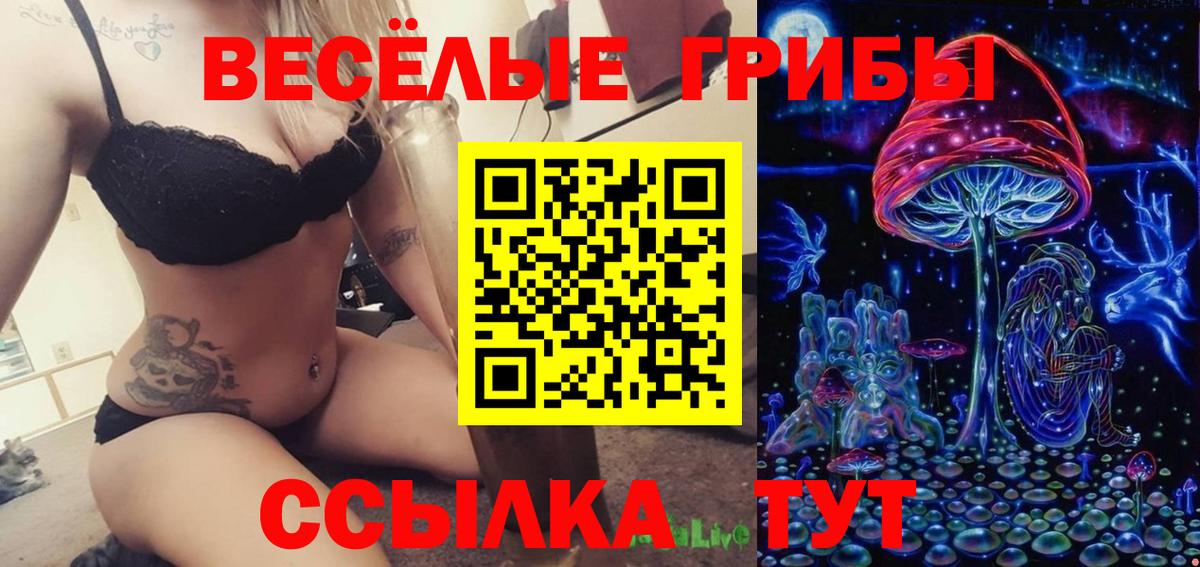 Псилоцибиновые грибы ЛСД Менделеевск